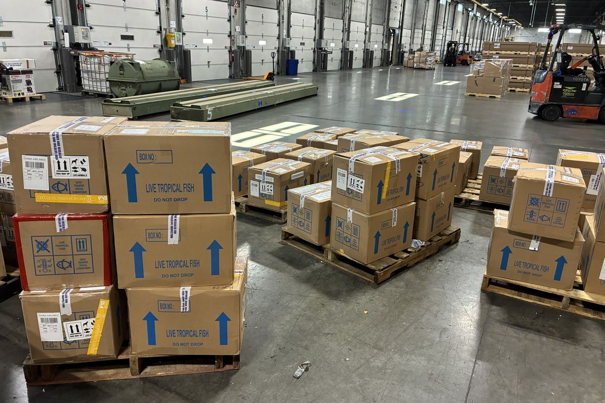 Photo 1 — Caisses en carton triple cannelure sur mesure